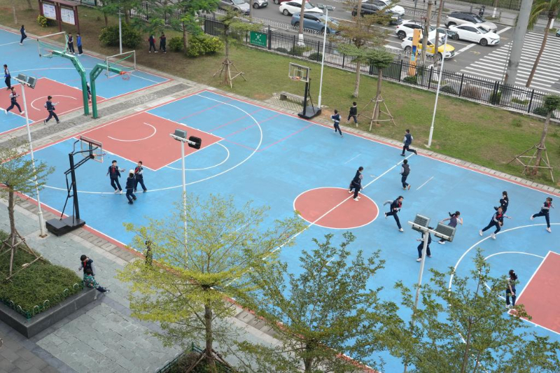 赛带来了前